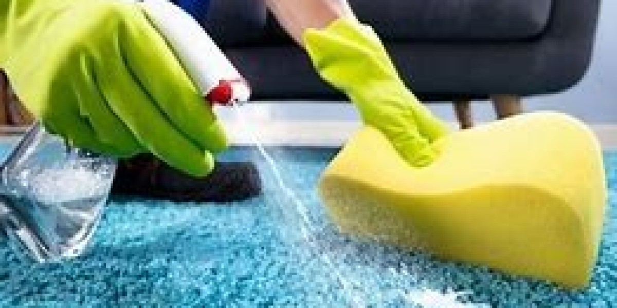 Experience Clean Living: The Importance of Professional Carpet Cleaning