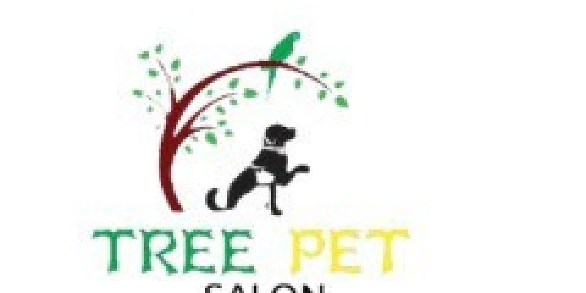 Discover Must-Have Cat Accessories at Tree Pet Store